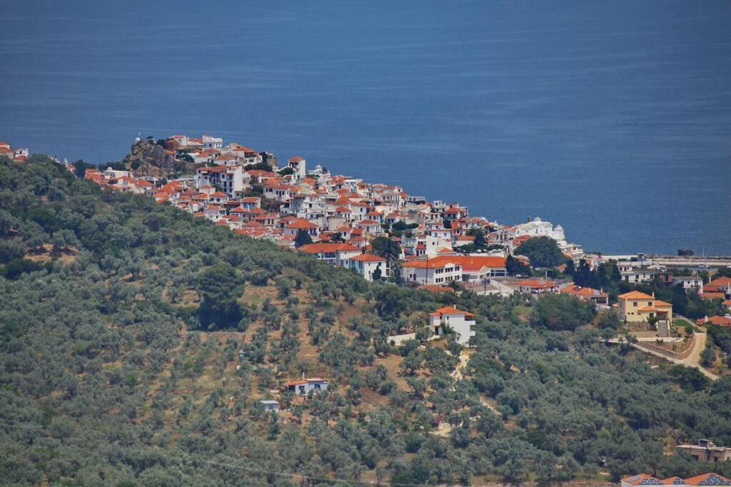 Villa Koukounaria Скопелос Екстериор снимка